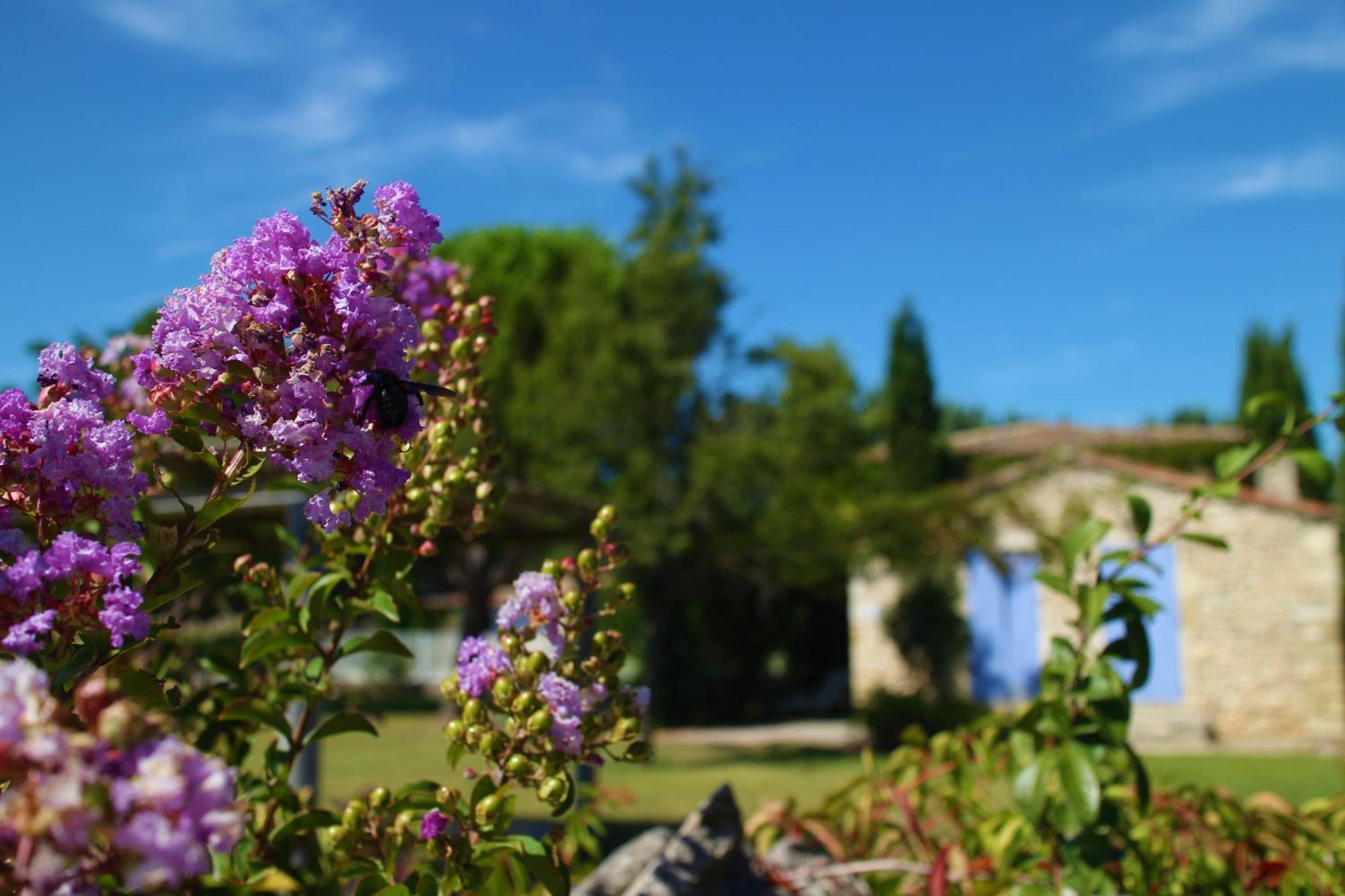 Mas Orea Gordes Exterior foto
